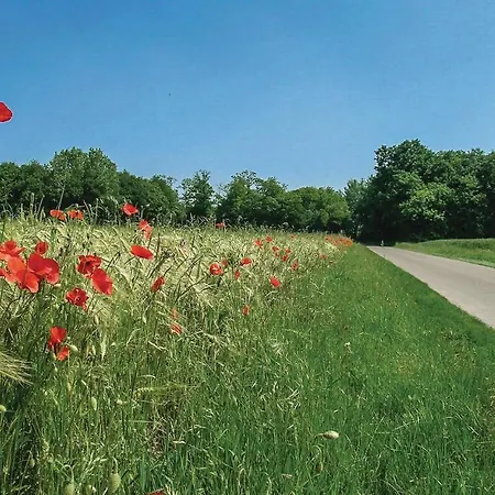 펜션 Gorgeous In Le Chateau